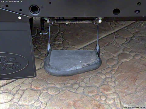 2010�� ������������