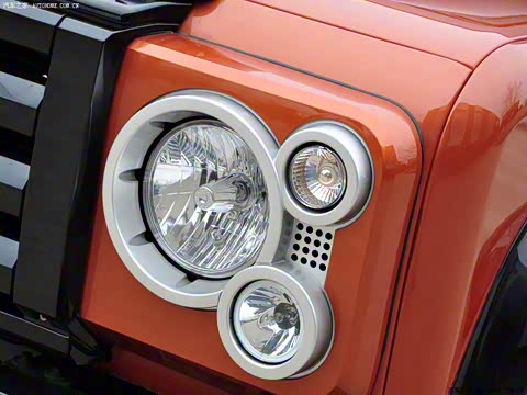 2010�� ������������