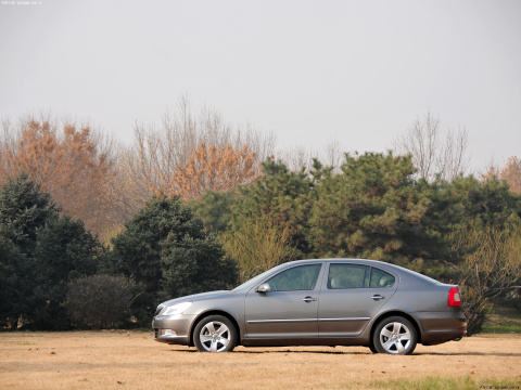 2010 1.8TSI DSG