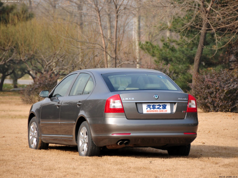 2010 1.8TSI DSG