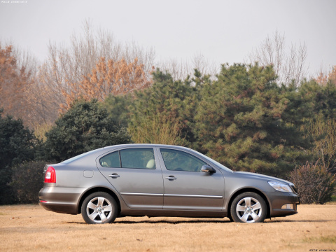 2010 1.8TSI DSG