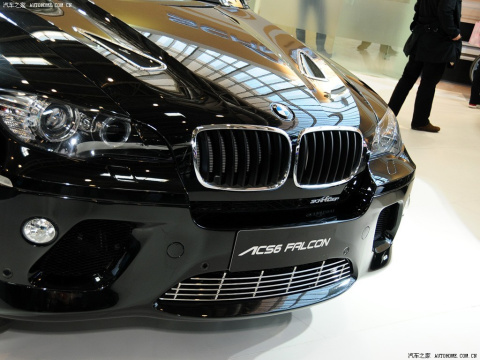 2008 BMW X6 Falcon