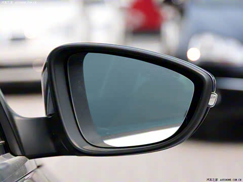 2010�� 2.0TSI ������