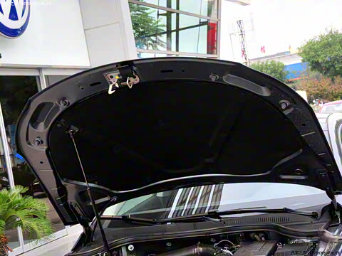 2010�� 2.0TSI ������