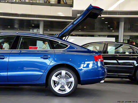 2010�� 2.0TFSI Sportback ������