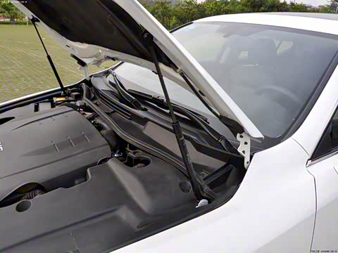 2011�� 250 ������