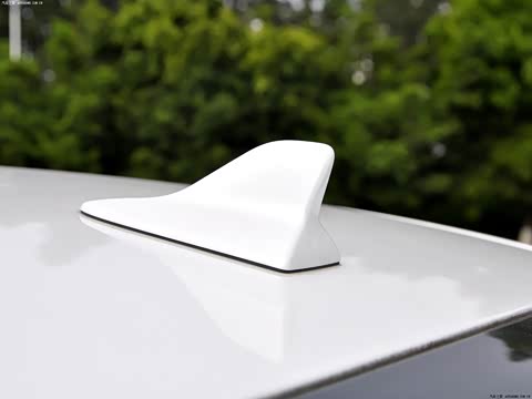 2011�� 250 ������