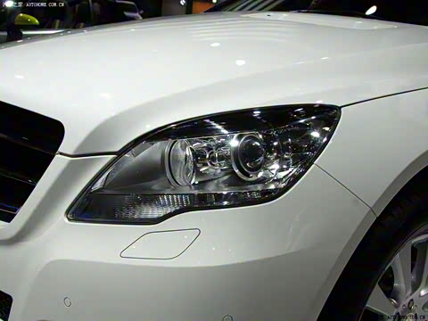 2010�� R 300 L ������