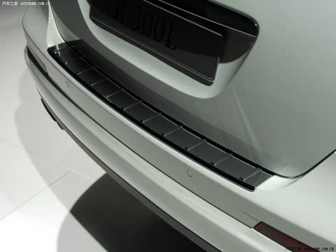 2010�� R 300 L ������