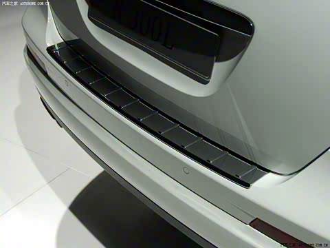 2010�� R 300 L ������