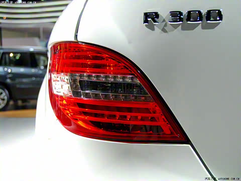 2010�� R 300 L ������