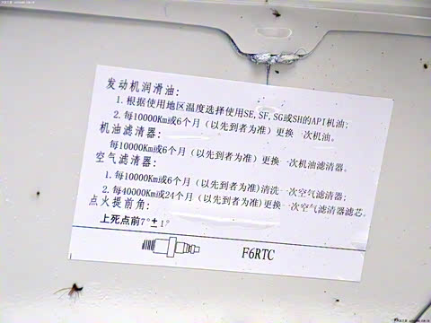 2010�� 0.8L ������